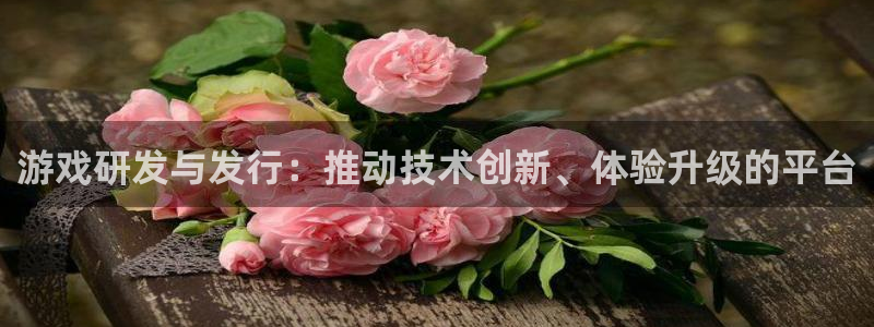 完美电竞官网电子科技：游戏研发与发行：推动技术创新、体验升级的平台