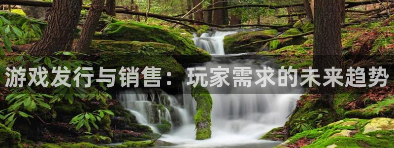 广东完美电竞官网电子商务有限公司电话