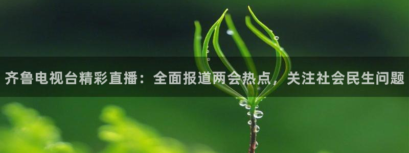 直播玩球：齐鲁电视台精彩直播：全面报道两会热点，关注社会民生问题