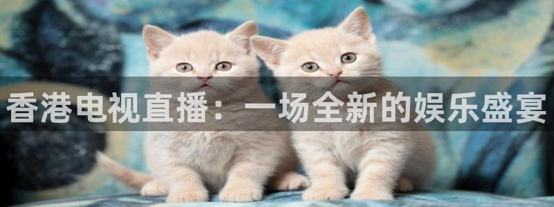 玩球直播免费直播