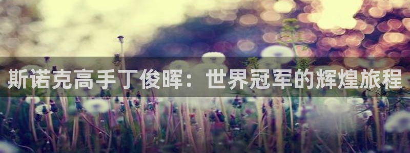 玩球直播wqzb：斯诺克高手丁俊晖：世界冠军的辉煌旅程