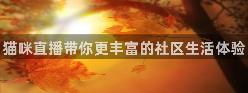 wqzb玩球直播：猫咪直播带你更丰富的社区生活体验