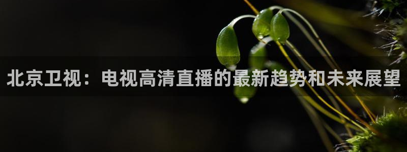 玩球直播网站：北京卫视：电视高清直播的最新趋势和未来展望